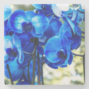 Posavasos De Piedra Orquídeas azules