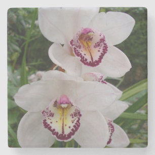 Posavasos De Piedra Orquídeas Blancas Hermosas Flores Tropicales