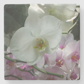 Posavasos De Piedra Orquídeas blancas y moradas