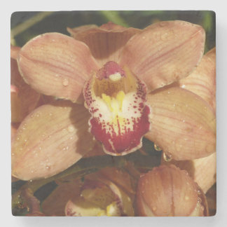 Posavasos De Piedra Orquídeas con gotas de lluvia floral