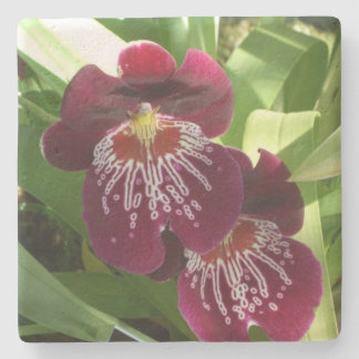 Posavasos De Piedra Orquídeas de Marrón II Elegante Floral