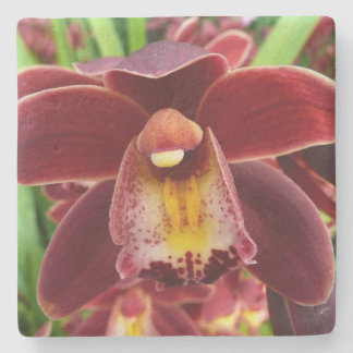 Posavasos De Piedra Orquídeas Maroon I Hermosa Floral Roja