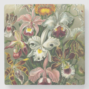 Posavasos De Piedra Orquídeas Vintage - Formas artísticas de la natu