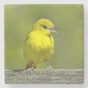 Posavasos De Piedra Ortolano Oriol - Fotografía Original