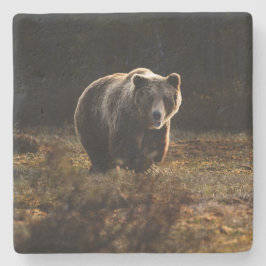 Posavasos De Piedra Oso