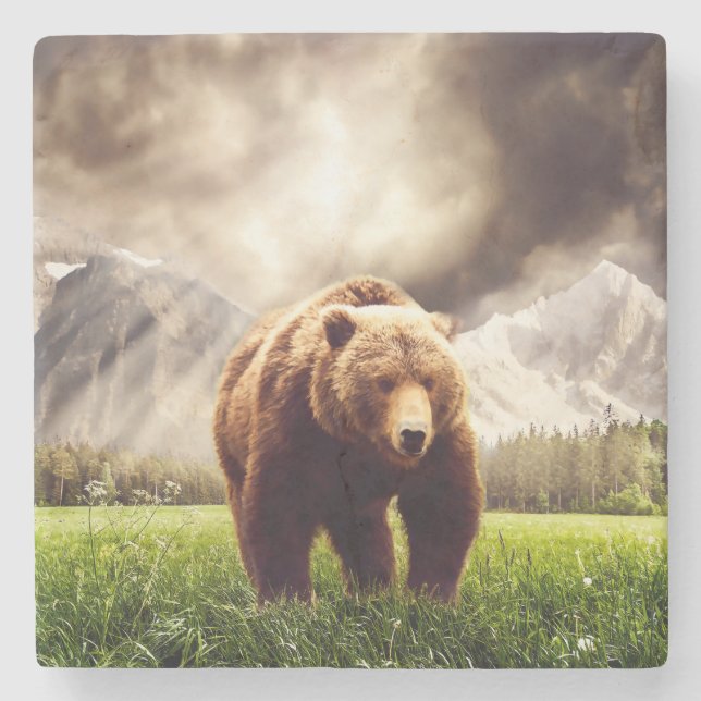 Posavasos De Piedra Oso de la montaña (Anverso)