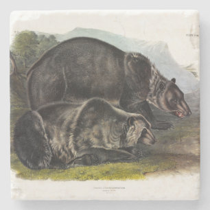 Posavasos De Piedra Oso Grizzly (Oso Marrón Norteamericano) - Audubon