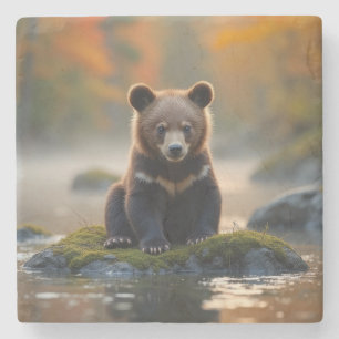 Posavasos De Piedra Oso joven en otoño