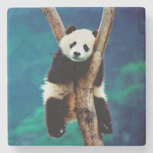 Posavasos De Piedra Oso Panda