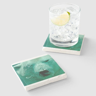 Posavasos De Piedra Oso Polar Animal Ártico Norteño Lindo Caprichoso