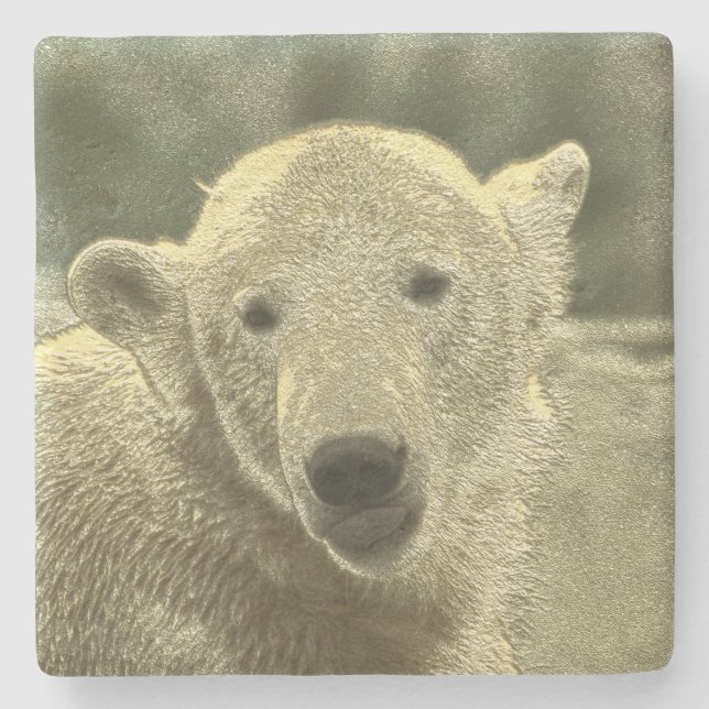 Posavasos De Piedra oso polar metalizado (Anverso)
