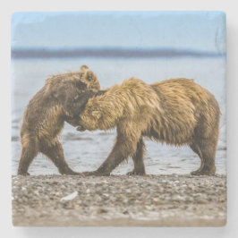 Posavasos De Piedra Osos marrones costeros