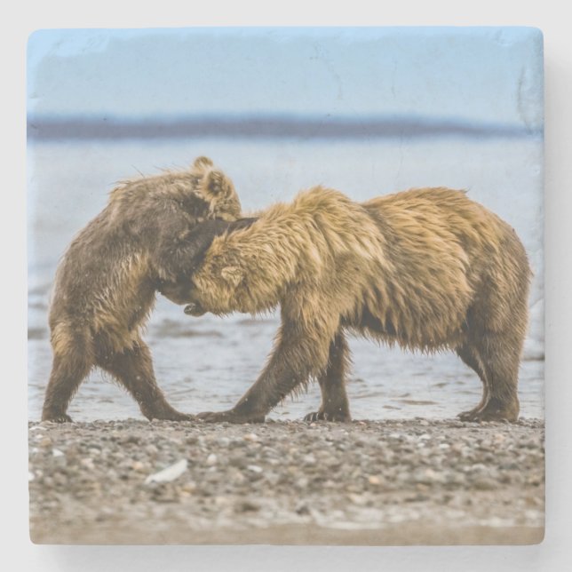 Posavasos De Piedra Osos marrones costeros (Anverso)