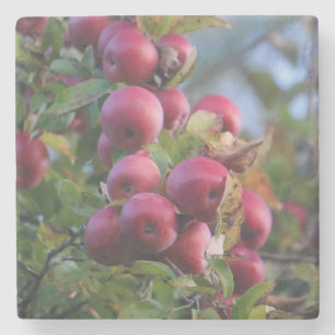 Posavasos De Piedra Otoño Apple