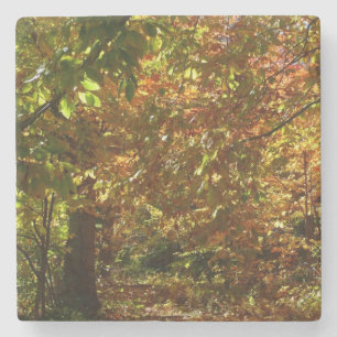 Posavasos De Piedra Otoño de otoño II Fotografía de otoño amarilla