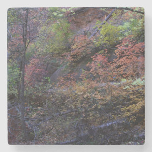 Posavasos De Piedra Otoño en Sedona