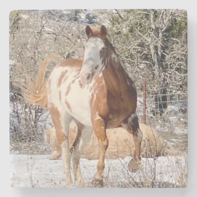 Posavasos De Piedra Paint Horse Coaster (Anverso)
