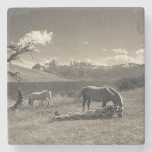 Posavasos De Piedra Paisaje con caballos