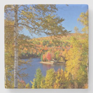 Posavasos De Piedra Paisaje de árboles de otoño, Maine