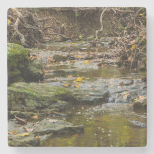 Posavasos De Piedra Paisaje de Creek North Wears