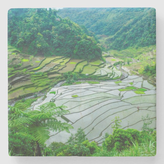 Posavasos De Piedra Paisaje de terraza de arroz, Filipinas (Anverso)
