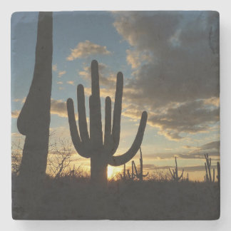 Posavasos De Piedra Paisaje del desierto de Saguaro Sunset II Arizona