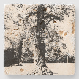 Posavasos De Piedra Paisaje en árbol blanco y negro