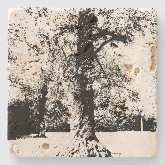 Posavasos De Piedra Paisaje en árbol blanco y negro (Anverso)
