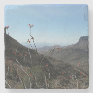 Posavasos De Piedra Paisaje grande de la montaña del Parque-Ocotillo