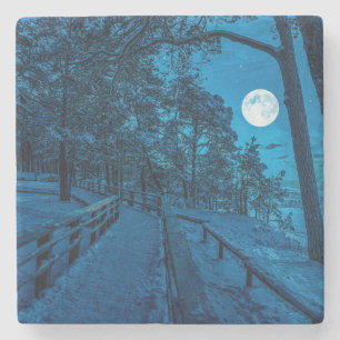 Posavasos De Piedra Paisaje invernal con pinar cubierto de nieve