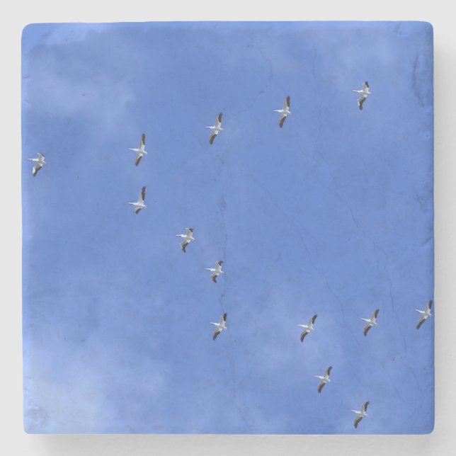 Posavasos De Piedra Pájaro (Anverso)