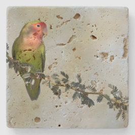 Posavasos De Piedra Pájaro de amor con cara rosada en una rama