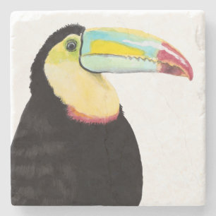Posavasos De Piedra Pájaro tropical de Toucan