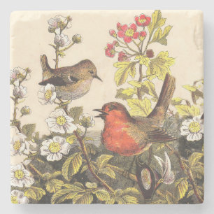 Posavasos De Piedra Pájaros Cantores Robin Botánico Floral Vintage