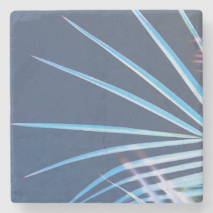 Posavasos De Piedra Palm Tree Deja Esbozo Minimalismo