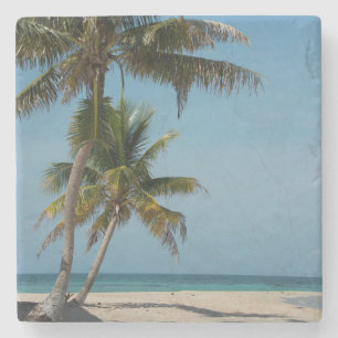 Posavasos De Piedra Palmera y playa de arena blanca