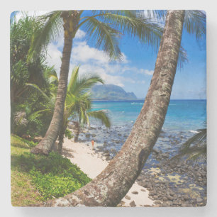 Posavasos De Piedra Palmeras a lo largo de la playa Hideaways