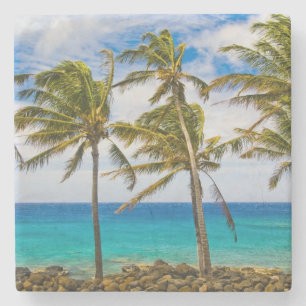 Posavasos De Piedra Palmeras de coco (Cocos nucifera) balanceándose en
