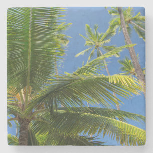 Posavasos De Piedra Palmeras de coco, Pu'uhonua o Honaunau 1