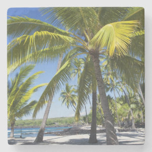 Posavasos De Piedra Palmeras, Parque Histórico Nacional Pu'uhonua o
