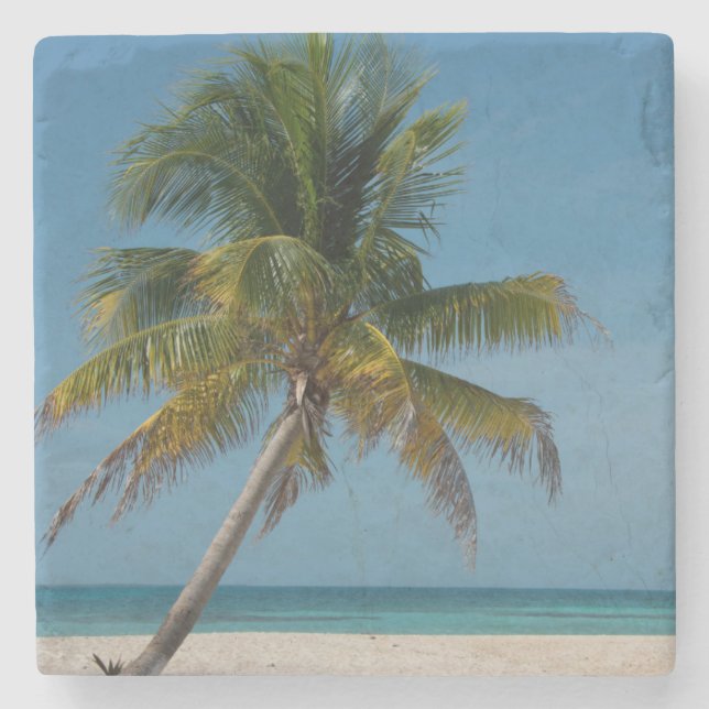 Posavasos De Piedra Palmeras y playa de arena blanca 2 (Anverso)