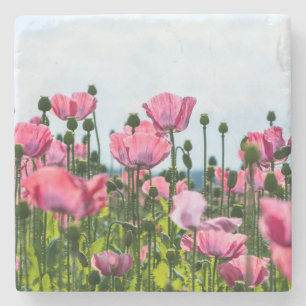 Posavasos De Piedra Papas rosadas