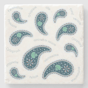 Posavasos De Piedra Paramecia Paisley Protozoo Ciencia Biológica