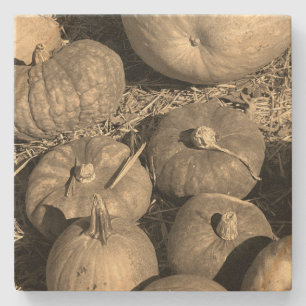 Posavasos De Piedra Parche de calabaza