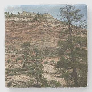 Posavasos De Piedra Paredes de roca desgastadas en el Parque Nacional