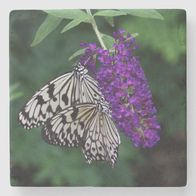 Posavasos De Piedra Pareja de mariposas de cometas de papel (Anverso)