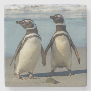 Posavasos De Piedra Pareja de pingüinos en la playa