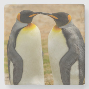 Posavasos De Piedra Pareja de pingüinos rey, Falklands