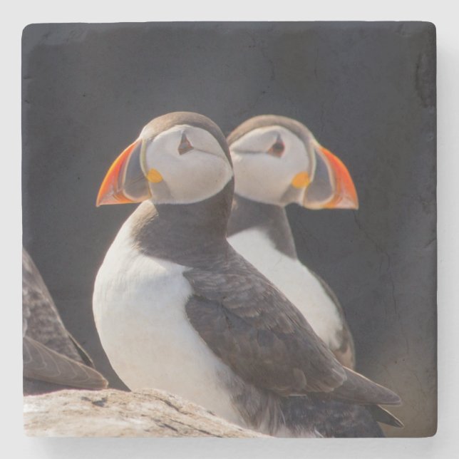 Posavasos De Piedra Pareja de Puffins (Anverso)