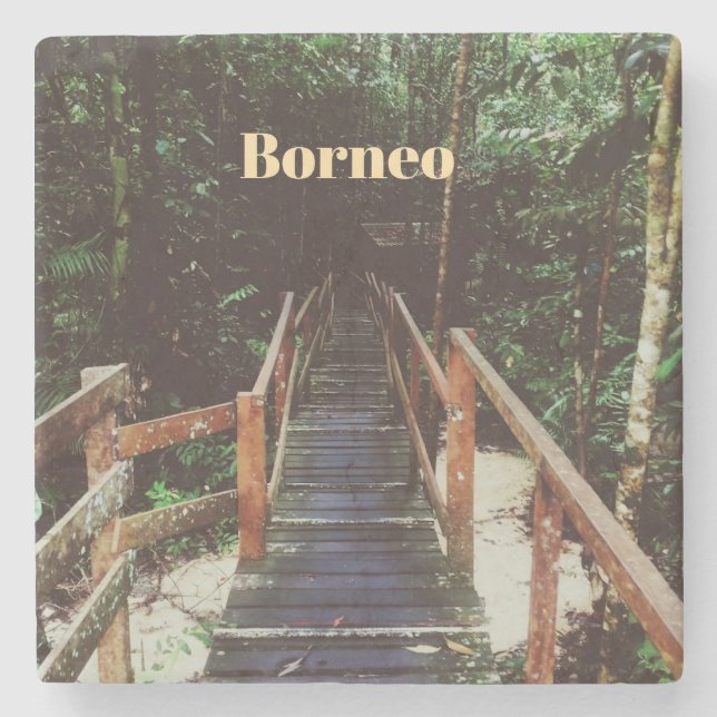 Posavasos De Piedra Parque Nacional Bako - Borneo (Anverso)